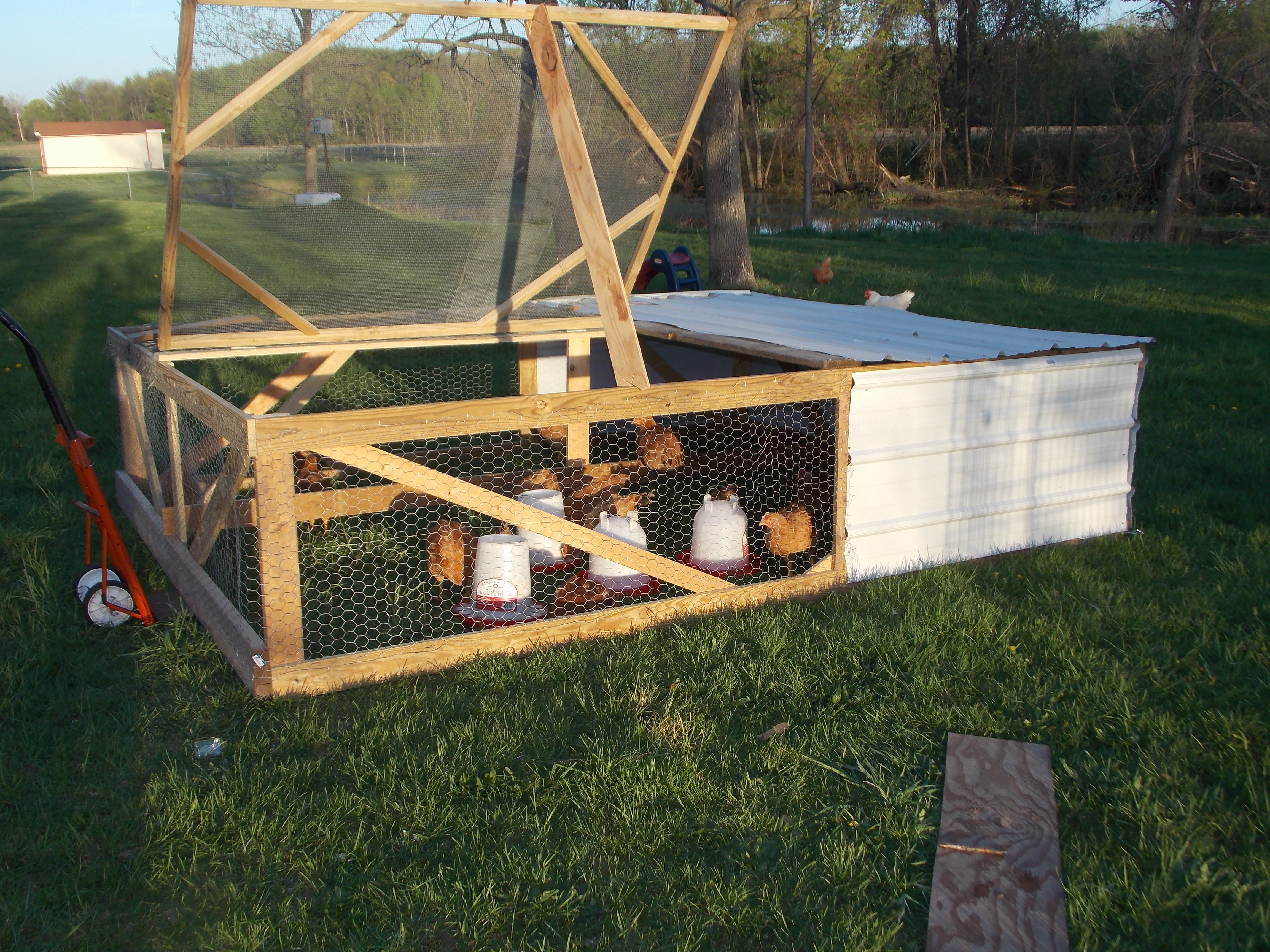 By Sunday night, I guarantee that the chicken tractor will be complete ...